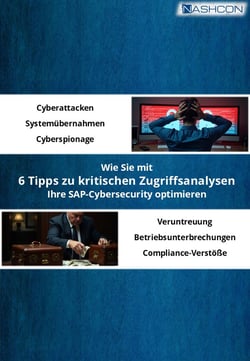 Titelseite_Leitfaden zur Analyse kritischer Zugriffe Titelseite_Leitfaden zur Analyse kritischer Zugriffe